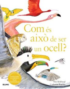 com es aixo de ser un ocell?-9788410048102