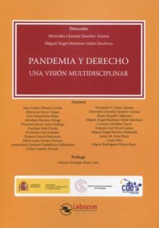 pandemia y derecho. una vision multidisciplinar-9788417789602