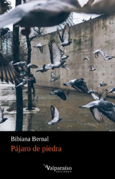 pájaro de piedra-bibiana bernal-9788418082702