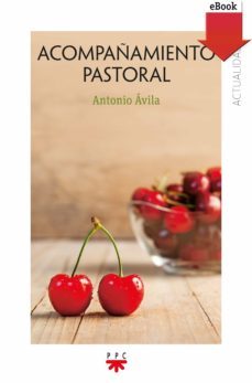 acompañamiento pastoral (ebook)-9788428832502
