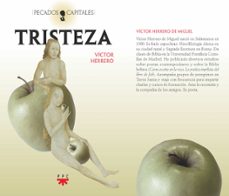 tristeza-victor herrero de miguel-9788428839402