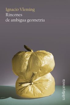 rincones de ambigua geometria-ignacio vleming-9788433929402