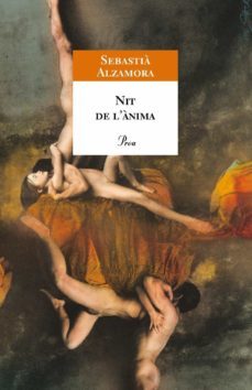 nit de l'ànima (ebook)-sebastia alzamora-9788482565002