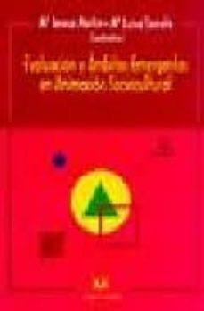 evaluacion y ambitos emergentes en animacion sociocultural-maria teresa martin gonzalez-maria luisa sarrate-9788488667502