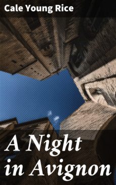 a night in avignon (ebook)-4064066100612