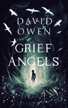 -david owen-9780349003412