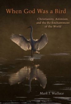 when god was a bird-mark i. wallace-9780823281312
