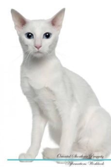 oriental shorthair affirmations workbook oriental shorthair presents-9781526972712