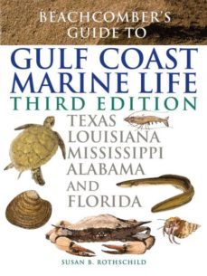 beachcombers guide to gulf coast marine life-9781589790612
