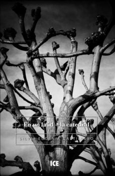 en un laud la catedral (ebook)-silvia eugenia castillero-9781778124112