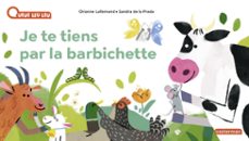 -orianne lallemand-9782203277212
