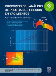 principios de analisis de pruebas de yacimientos (ebook)-héctor erick gallardo ferrera-9786073092012