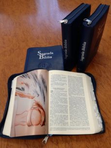sagrada biblia (simil piel cremallera)-9788422019312