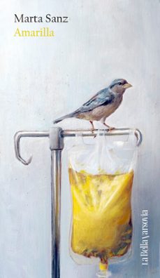 amarilla (ebook)-marta sanz-9788433948212