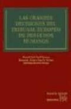 las grandes decisiones del tribunal europeo de derechos humanos-manuel jose terol bacerra-fernando alvarez ossorio micheo-9788484563112