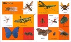 animales: 101 primeras palabras-9788499134512