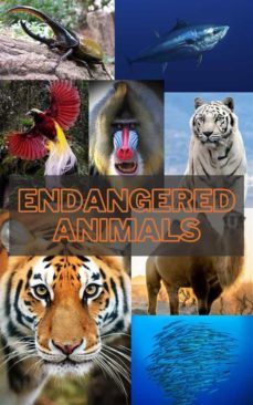 critically endangered animals (ebook)-9791222025612