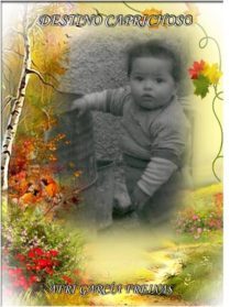 "destino caprichoso" (ebook)-cdlap00004612