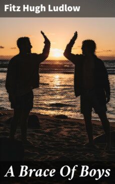 a brace of boys (ebook)-4064066105822