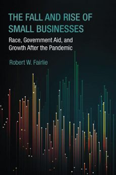 the fall and rise of small businesses-robert w. fairlie-9780262055222