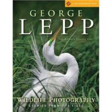 wildlife photography: stories from the field-9781600596322