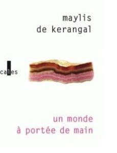 un monde a portee de main-maylis de kerangal-9782072790522