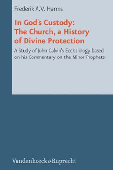 in god's custody (ebook)-frederik a. v. harms-9783647569222