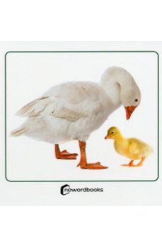 animales domesticos y sus crias-9788412683622