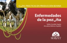 guias practicas en produccion bovina. enfermedades de la pezuña-9788417640422