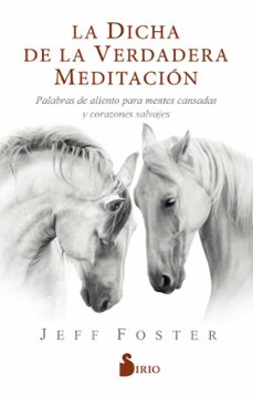 la dicha de la verdadera meditacion: palabras de aliento para mentes cansadas y corazones salvajes-jeff foster-9788418000522