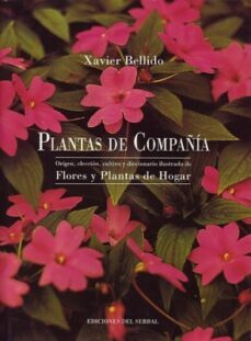 -javier bellido ojeda-9788476281222