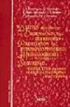 delitos relativos a la ordenacion del territorio y proteccion del patrimonio historico, medio ambiente y contra la seguridad colectiva (delitos de riesgo catastrofico e incendios)-jose antonio dominguez luis-9788476765722