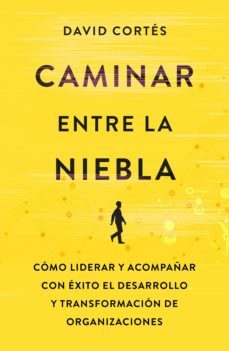caminar entre la niebla (ebook)-david cortes gimeno-9788498755022