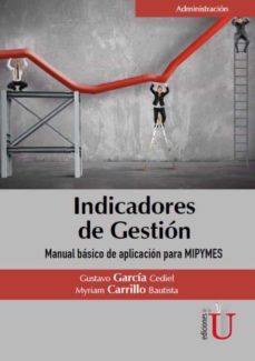 indicadores de gestin. manual bsico de aplicacin para mipymes-9789587625622