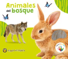 animales del bosque-9789878202822