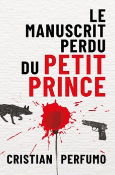 le manuscrit perdu du petit prince (ebook)-cristian perfumo-9798230222422