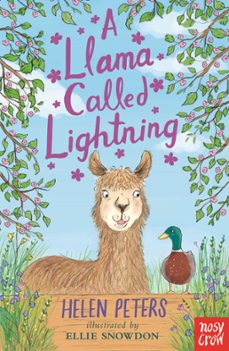 a llama called lightning (ebook)-helen peters-9781839948732