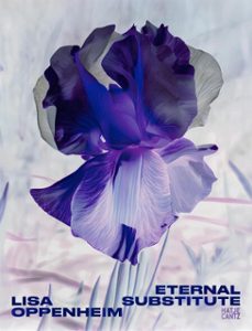 lisa oppenheim: the eternal substitute (ebook)-9783775760232