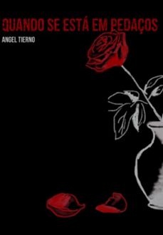 quando se esta em pedaços (ebook)-tierno angel-9786501008332