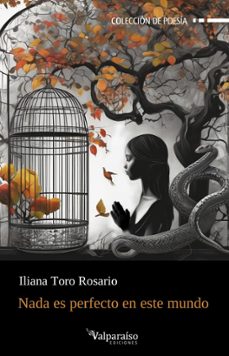 nada es perfecto en este mundo-iliana toro rosario-9788410073432