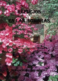 reflejos en las sombras (ebook)-9788418605932
