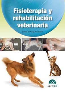 fisioterapia y rehabilitacion-gemma del pueyo montesinos-9788492569632