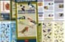 aves de parques, pueblos y ciudades: introduccion a las especies ibericas-victor j. hernandez-9788494404832