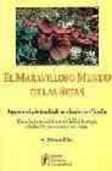 el maravilloso mundo de las setas-a. ortega diaz-9788495276032