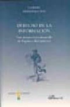 derecho de la informacion: una perspectiva comparada de españa e iberoamerica-9788498491432