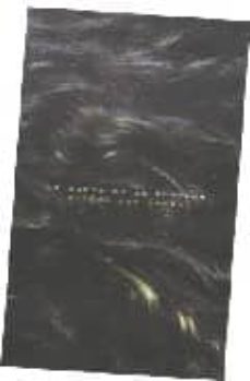 la rueda de la fortuna-helena paz garro-9789681683832
