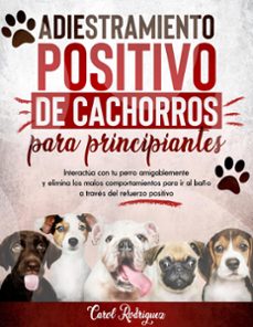 -carol rodriguez-9798201414832