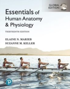 essentials of human anatomy & physiology, global edition-elaine marieb-9781292401942