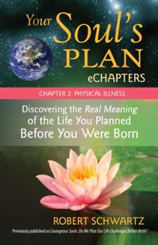 your soul's plan echapters - chapter 2: physical illness (ebook)-robert schwartz-9781583946442