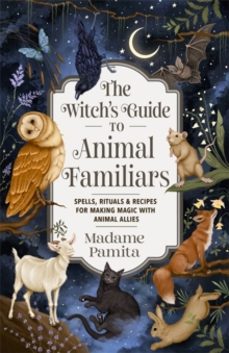 the witchs guide to animal familiars-9781837822942